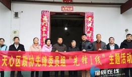 先锋街道最新爆料,揭秘社区发展新动态